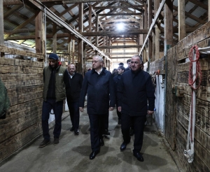 Президент Бадра Гунба и Вице-президент Беслан Бигвава посетили конюшню в селе Лыхны